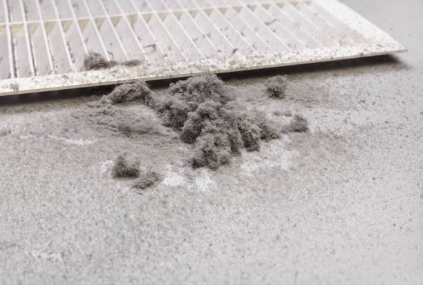 Best Affordable Duct Cleaning Services  in Sandstone, MN