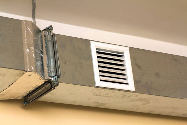 Best Dryer Vent Cleaning Services  in Sandstone, MN